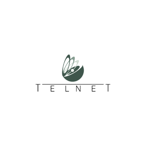 Telnet Communication
